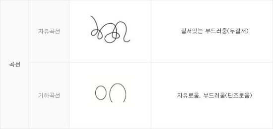선의 종류 2